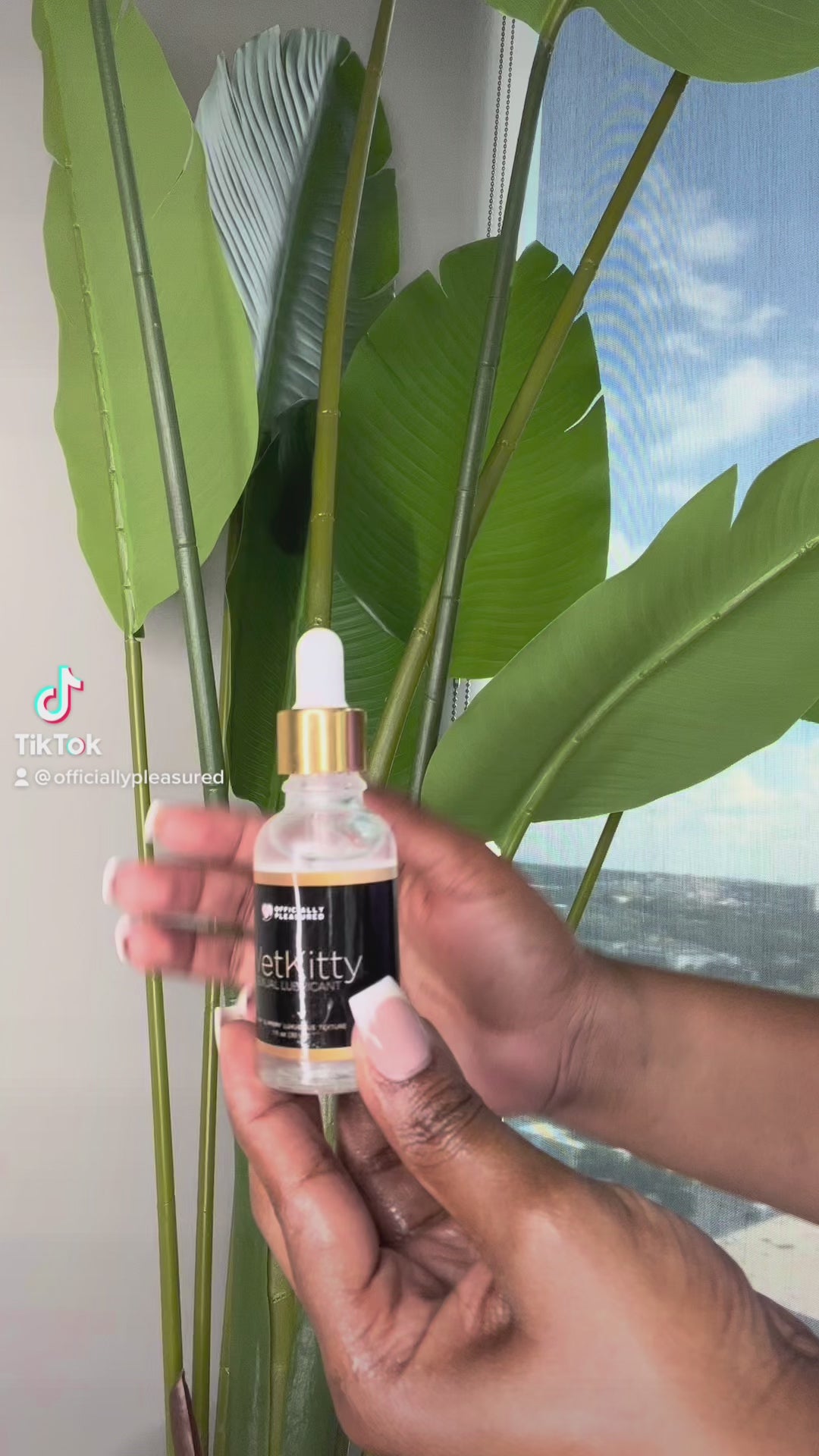 Wet Kitty Pleasure Lube (Clear)